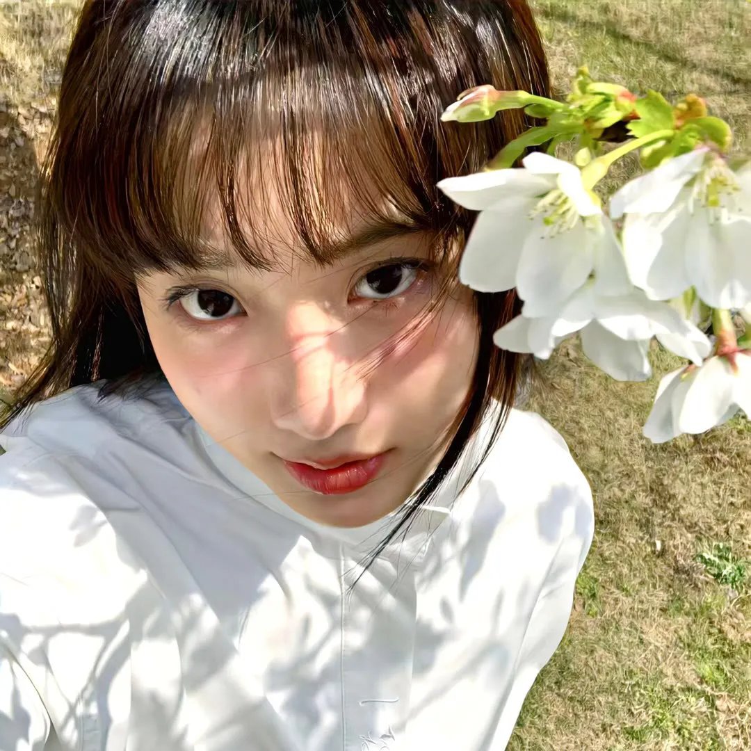 仲夏絮语